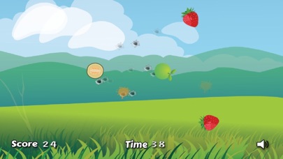 Fruit shoot splash 1.1 IOS -