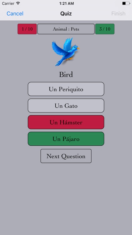 Spanish Quiz For Beginners