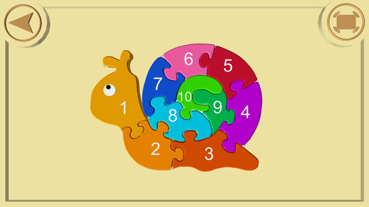 Puzzle Snail and Clock