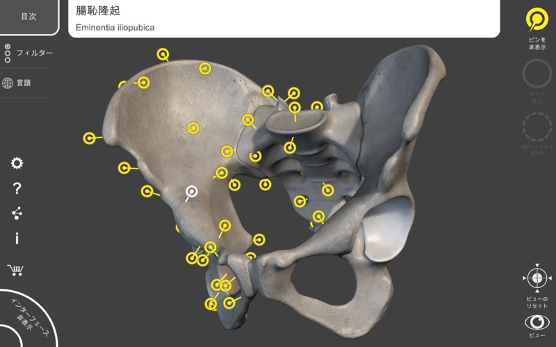 骨格 - 解剖学3D アトラス screenshot1