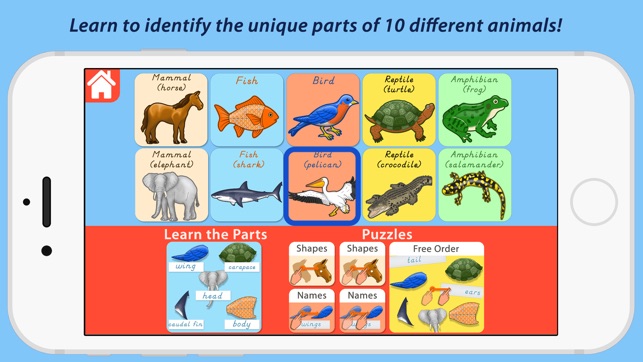 Parts Of Animals Vertebrates - Montessori Zoology(圖2)-速報App