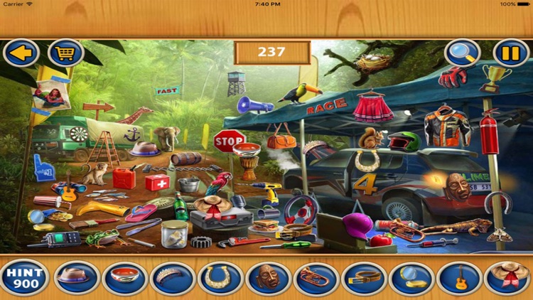 Free Hidden Objects : Leap Day