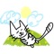 Cat stickers emoji - cute cats sticker photo