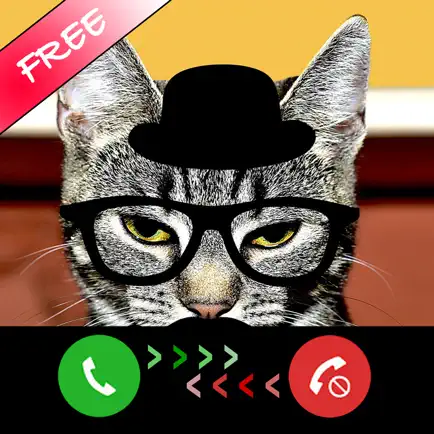 Kitty Cat Fake Phone Call - Birthday Surprise Читы