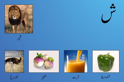 My First Book of Urdu HD - náhled