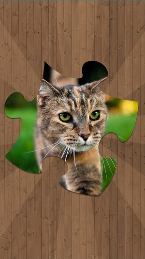 Cat Jigsaw Puzzles