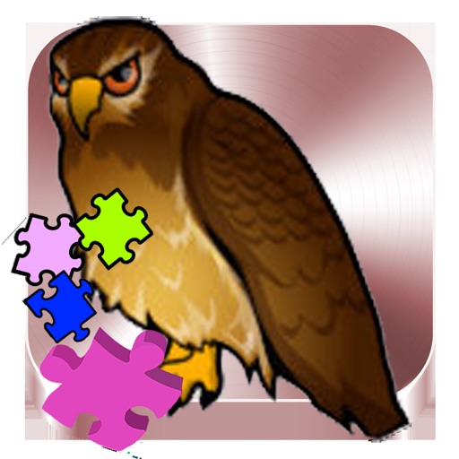 Bird - Hawk Puzzle Learning For Kids - Animals by chuppawit sukkaya