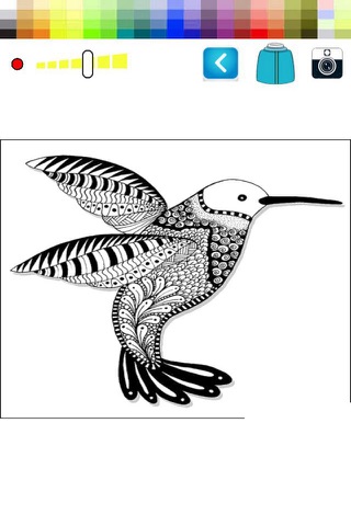 Bird Animals Coloring Pages for Kids Family screenshot 2