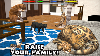 Ultimate Cat Simulator screenshot1