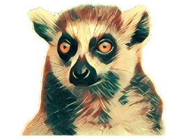 Animals Collection Stickers for iMessage is a great collection with amazing stickers specially created for iMessage