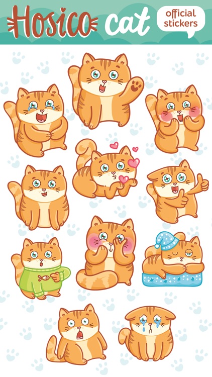 Hosico cat! Cute stickers for iMessage