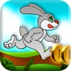 Bunny Run Simualtor