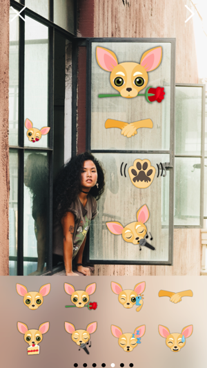 Fawn Chihuahua Photo Booth(圖1)-速報App