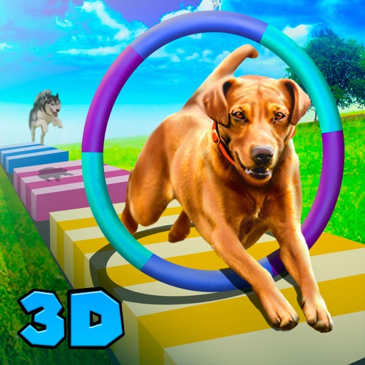 Pet Paw Run: Dog Training Full iOS App