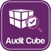 AuditCube