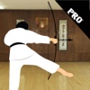 Archer In The Training Dojo PRO