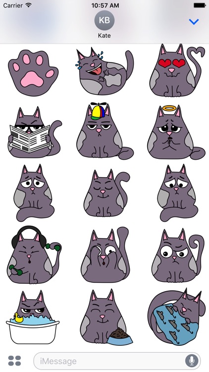 Fat cat Smoky - stickers with cats for iMessage.
