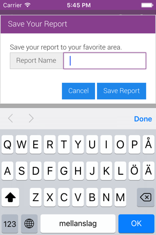 IFS Quick Reports - náhled