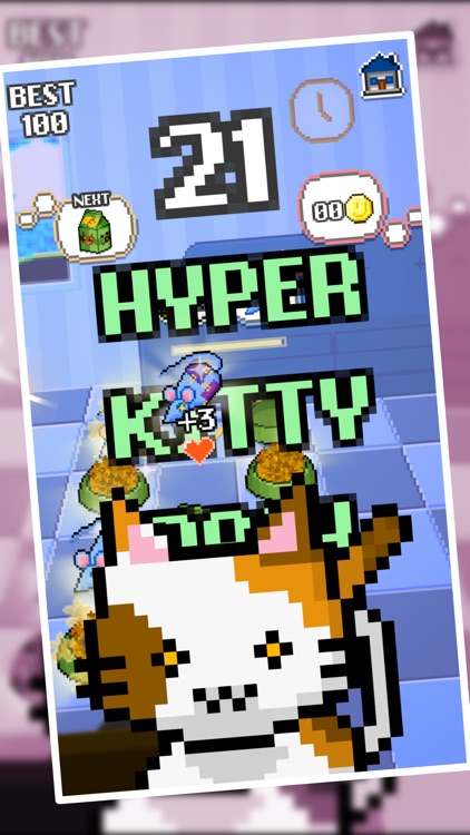 Wilful Kitty