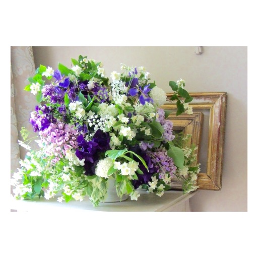 James Hurley Designs