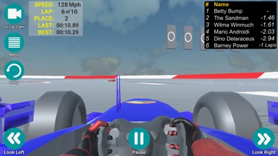RacecarDriver screenshot 4