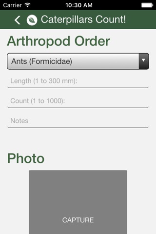 Caterpillars Count screenshot 4