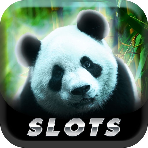 Big Slots - Deluxe Animal Casino icon