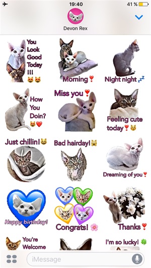 Devon Rex(圖2)-速報App