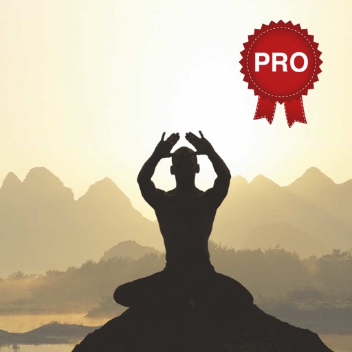 Qigong Workout Challenge PRO - Gain longevity icon