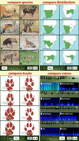 Game screenshot Mammal Guide of Southern Africa hack