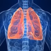 Pulmonary Circulation 101-Diet Guide and Treatment
