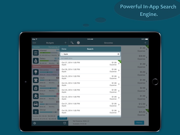 Best Budget Pro for iPad - Control your Expense screenshot-4