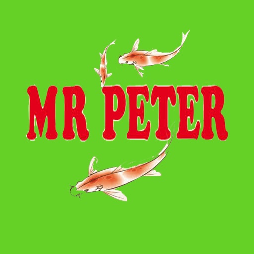 Mr Peter Chinese Takeaway, Ashford icon