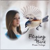 Flying Bird Photo Frames 3D Live Wallpapers Editor