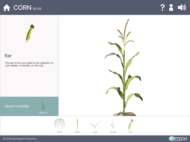 Build a Plant(圖1)-速報App