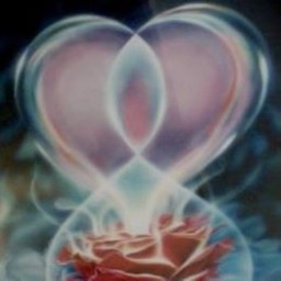 Peninsula Network Chiro