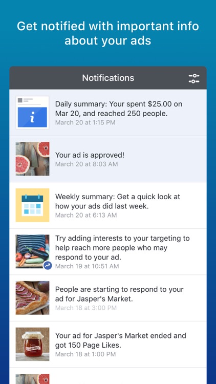 Facebook Ads Manager screenshot-4