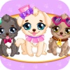 Puppy Makeover Hair Salon - Pets Makeup