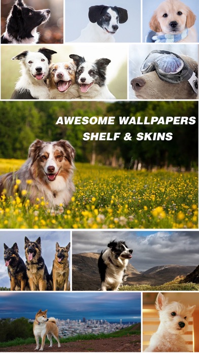 How to cancel & delete Dog Wallpapers - Home Screen Themes & Backgrounds from iphone & ipad 2