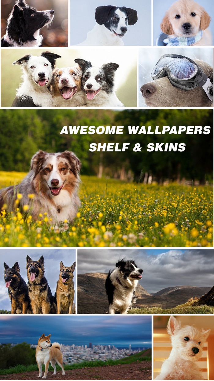 Dog Wallpapers - Home Screen Themes  Backgrounds
