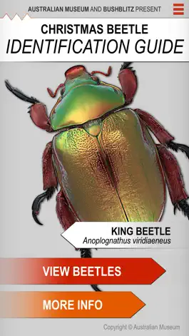Game screenshot Xmas Beetle ID Guide mod apk
