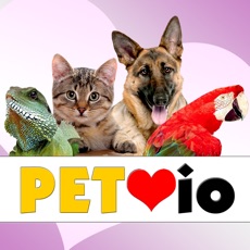 Activities of Pet io (opoly)