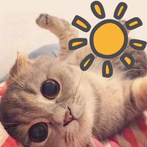 可愛い子猫のお天気アプリ