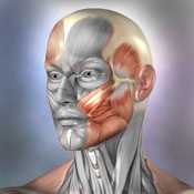 Muscle & Bone Anatomy 3D icon