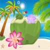 Card App Puzzle Coconut Game Fun