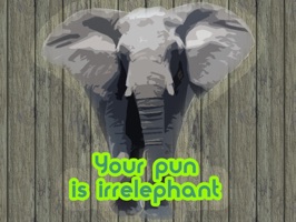Have fun in your text messages with these absolutely silly animal puns