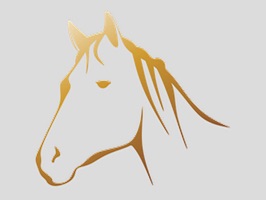 Horse Sticker Pack