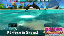 Game screenshot Dolphin Paradise: Wild Friends hack