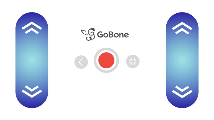 GoBone: All-day play for you and your dog