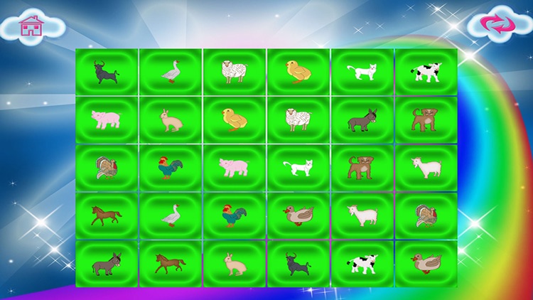 Memory Animals Flash Cards Farm